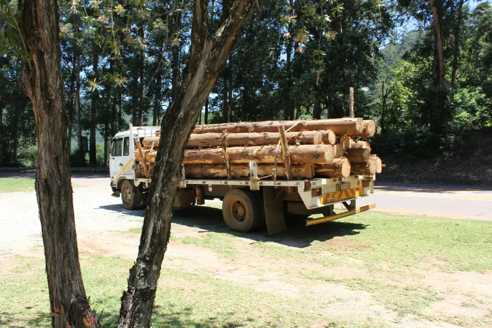 Leña de encina a domicilio: la calidad y los beneficios que la diferencian de otras maderas