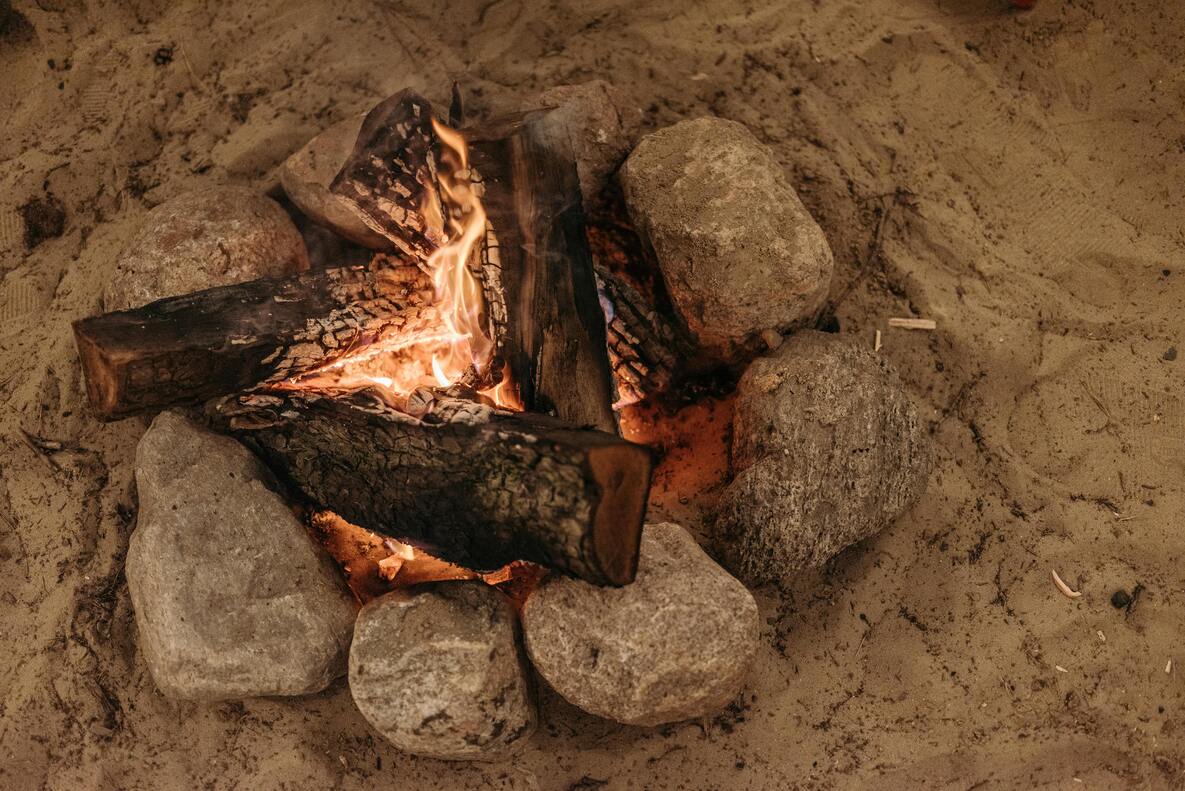 La historia de la leña y su uso a lo largo del tiempo: de la prehistoria a hoy